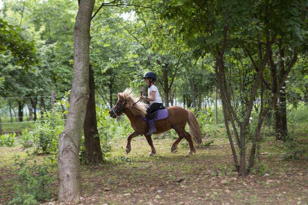 Medea Agriturismo Borg Da Ocjs מראה חיצוני תמונה